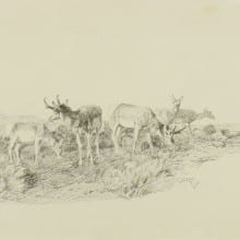 The Brinton Museum: Charles M. Russell, Antelope Grazing