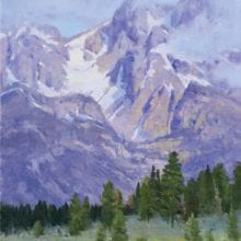 Jim Wilcox, Spring Patterns, oil, 20 x 16, $6000