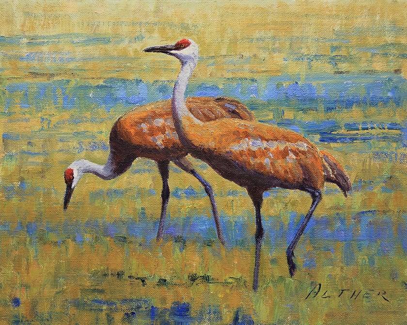 Oil painting of two sandhill cranes in a field