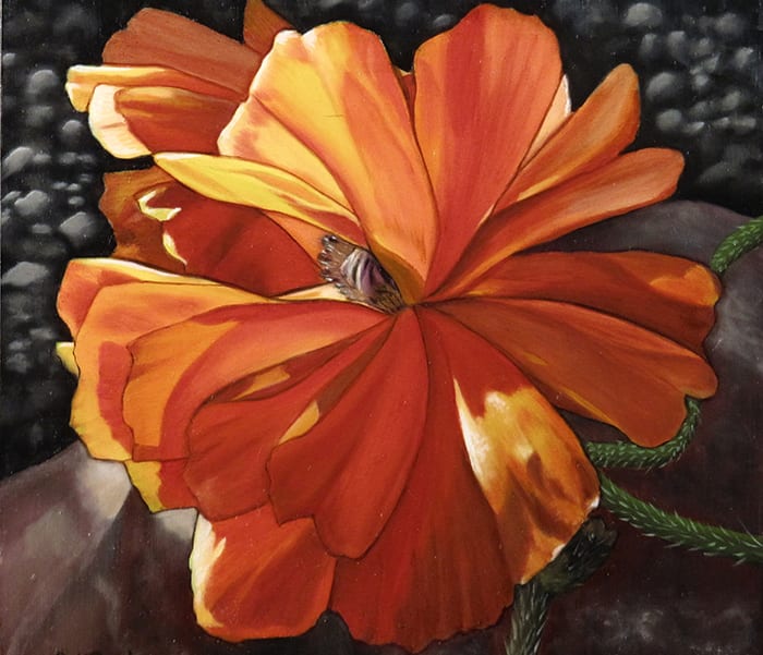 Oil painting by Pat Trout of a large orange flower