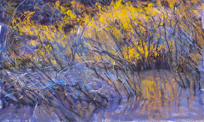 Pastel painting by Dianne Wyatt of an area flooded by beavers with yellow foliage on the vegetation