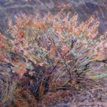 Dianne Wyatt, Rabbit Brush pastel, 20.5 x 18.5, $1700