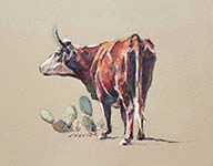 Chessney Sevier, West Texas Range Cow, gouache on illustration board, 8 x 8, $1000