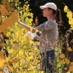 Artist Jessica Garrett painting among trees and shrubs with yellow leaves