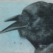 Crow 13
