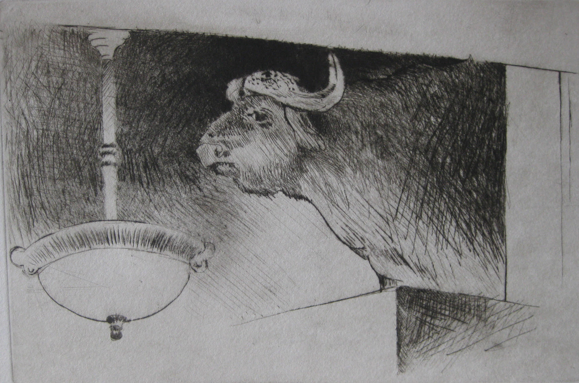 Print of an ox looking over a light fixture