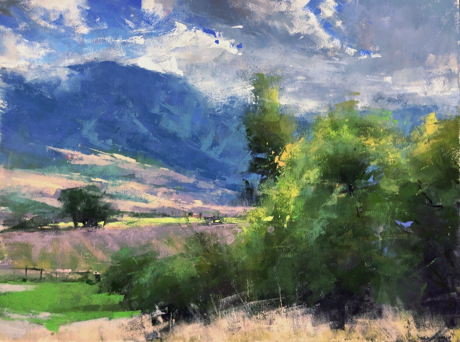 Pastel by Jacob Aguiar of a mountain in the background with green shrubs in the foreground