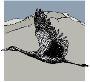 Bighorn Audubon Logo