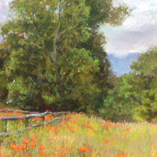 Elizabeth Rhoades, Orange Poppies, pastel, 12 x 9, plein air, $750 - SOLD