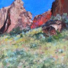 Elizabeth Rhoades, Salmon Canyon, pastel, plein air, $525