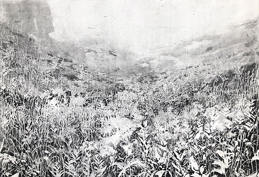Intaglio landscape print of ground vegetation