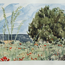 Polly Burge, Kaycee Paintbrush, watercolor and gouache, 3.25 x 5.75, $400 - SOLD
