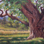 Oil painting of a cottonwood tree