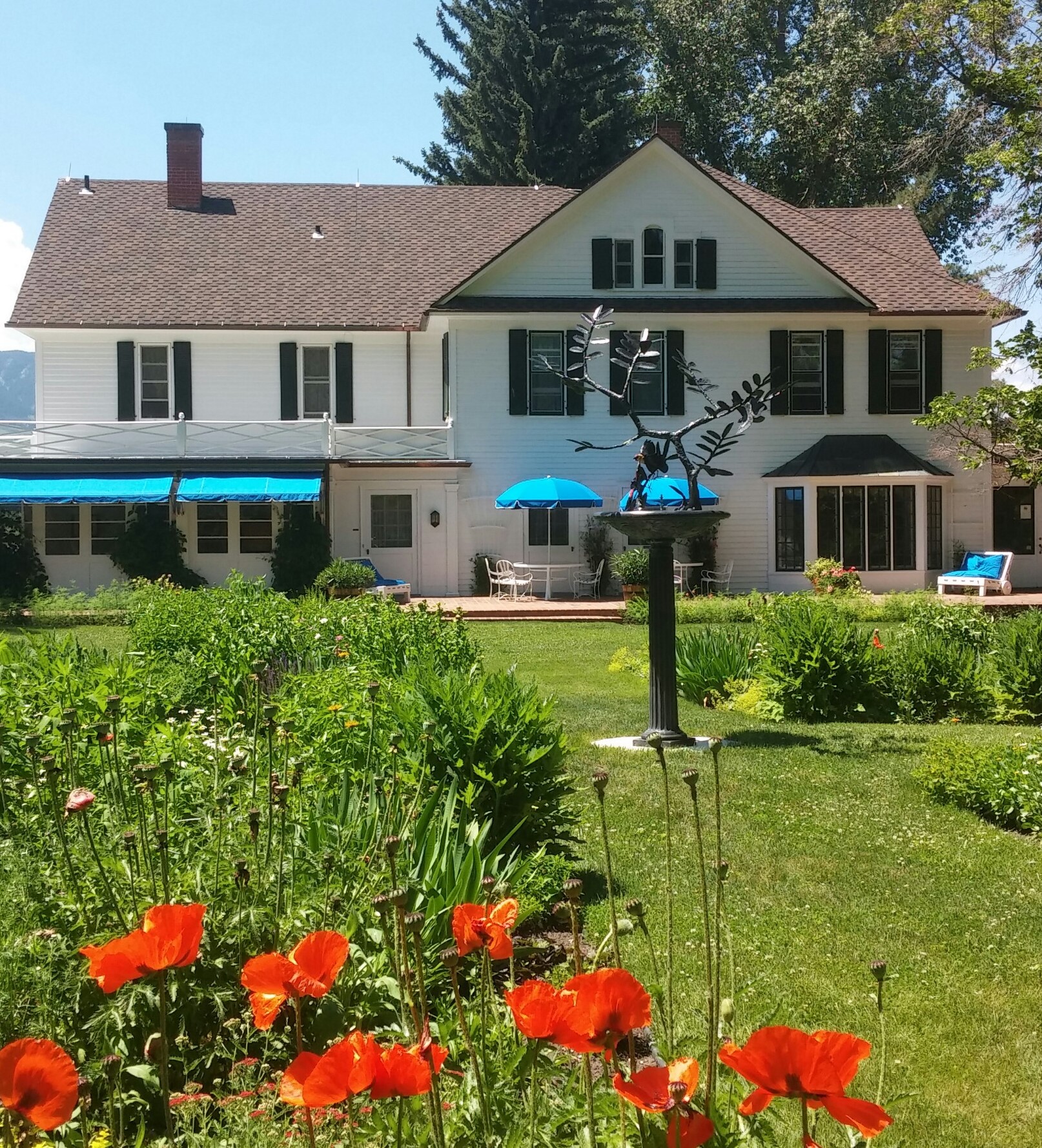 Main House with poppies in June