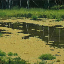 Jake Gaedtke, A Mountain Pond, oil, 8 x 10, $850 - SOLD