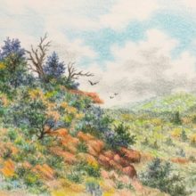 Dean States, Rugged Wyoming, colored pencil, 8.75 x 5.75, $395