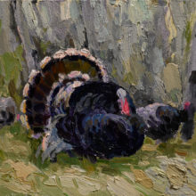 Gregory Packard, Turkeys, oil, 8 x 10, $1100