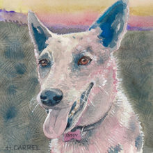 Hilary Carrel, Patsiiina, watercolor, 6 x 6, $350