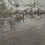 Oil painting of a canada goose
