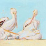 Pelicans by Klement
