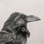 Raven by Monson
