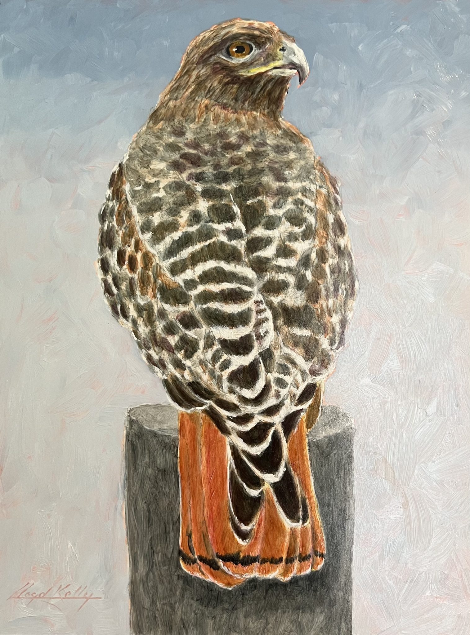 Oil painting of a red-tailed hawk