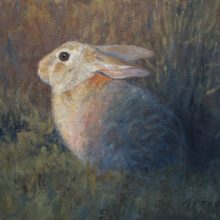 Bill Alther, Cottontail Eclipse