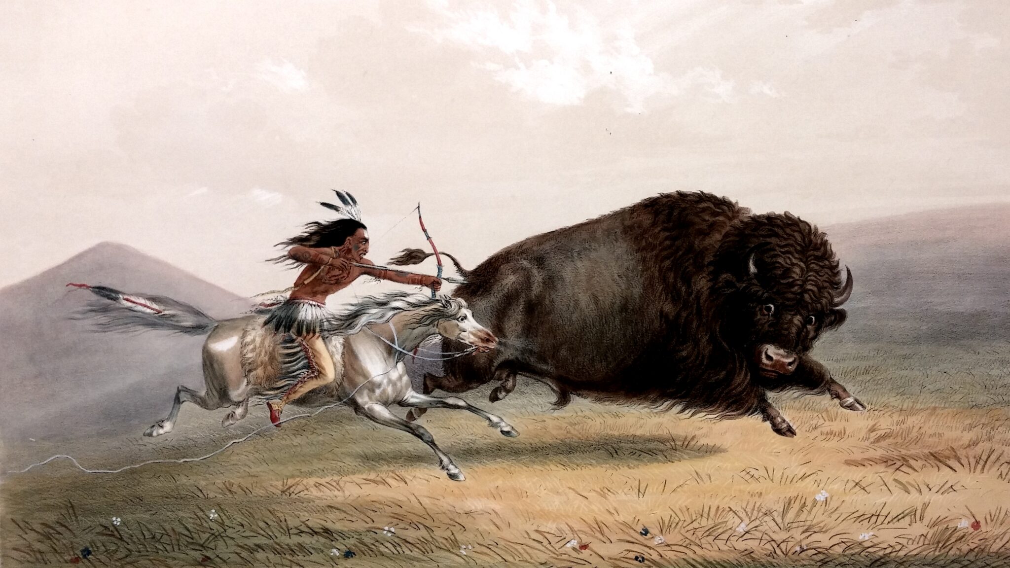 George Catlin Number 5