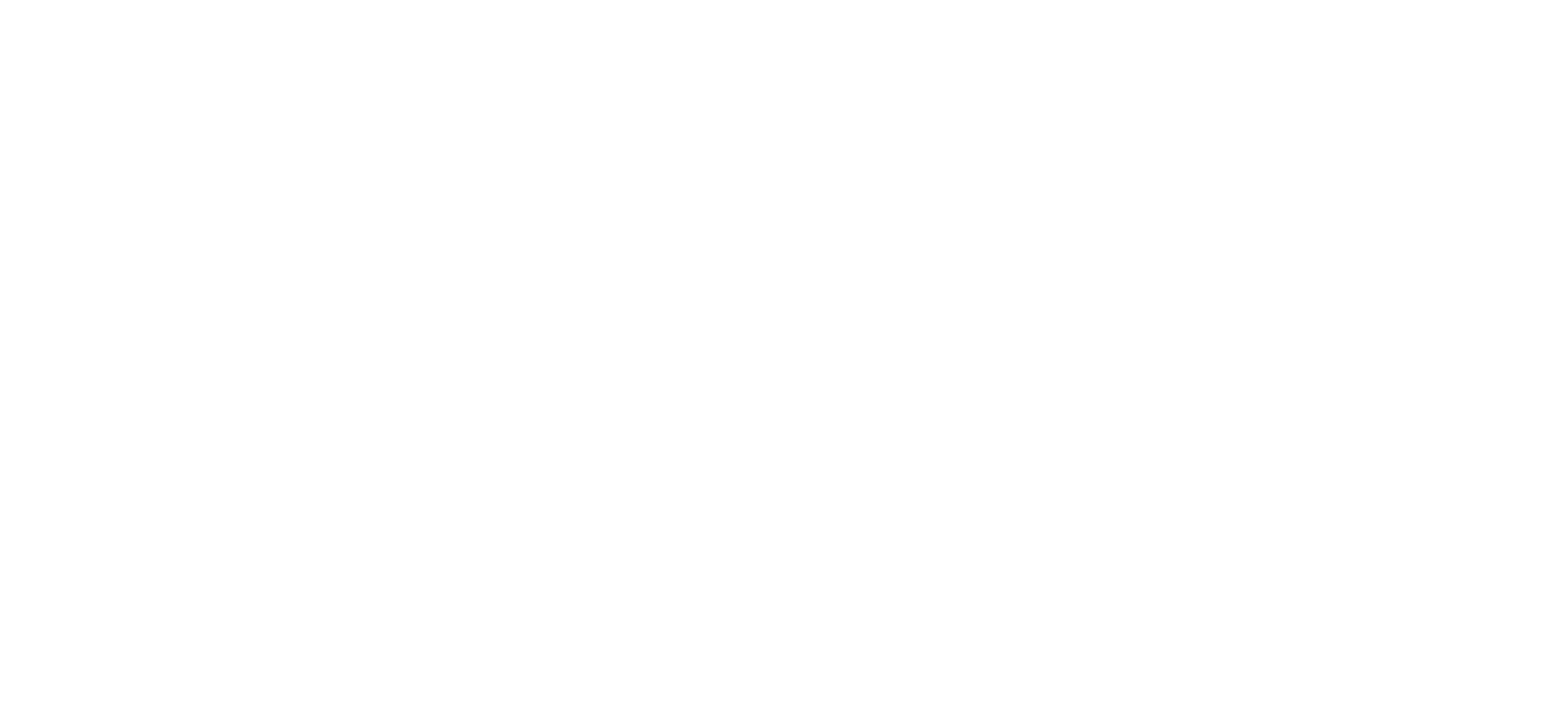 The Brinton Museum Logo