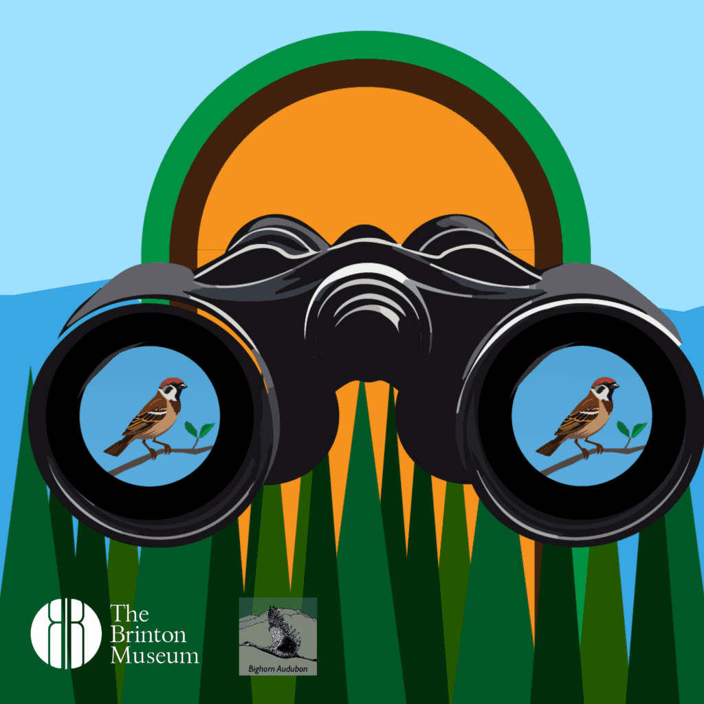 Birding at The Brinton