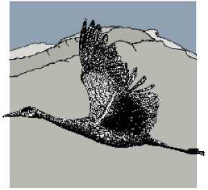 Bighorn Audubon Logo