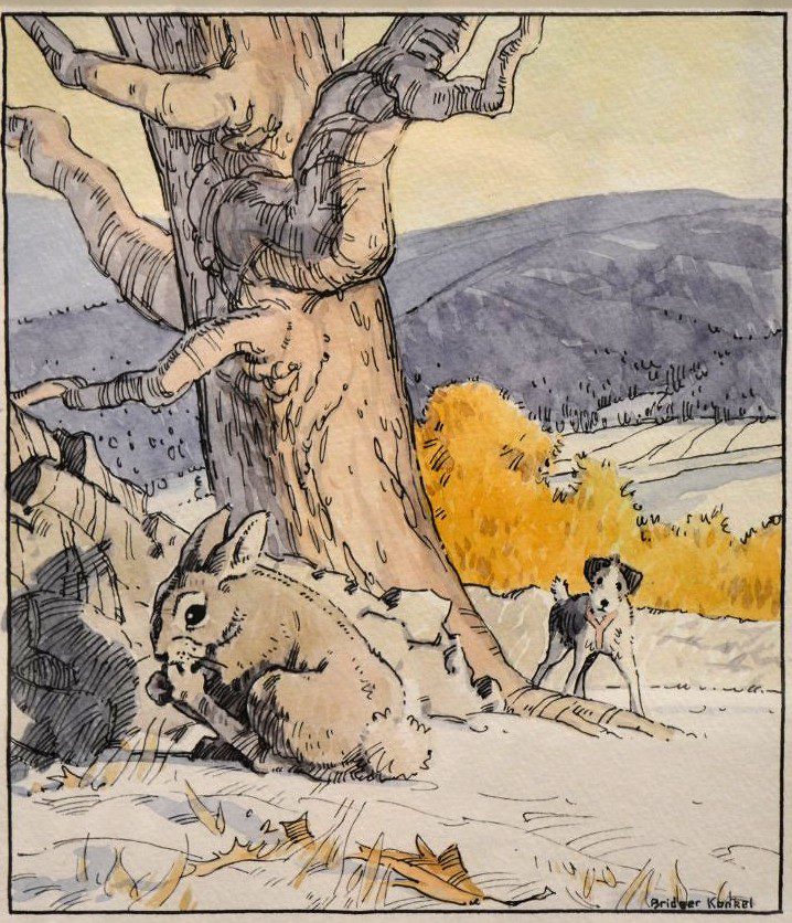 Two Decades of Illustration: Highlights from the Collection